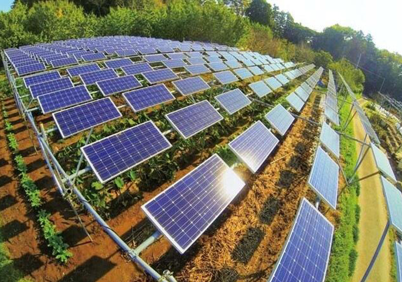 Photovoltaic agricultural greenhouse